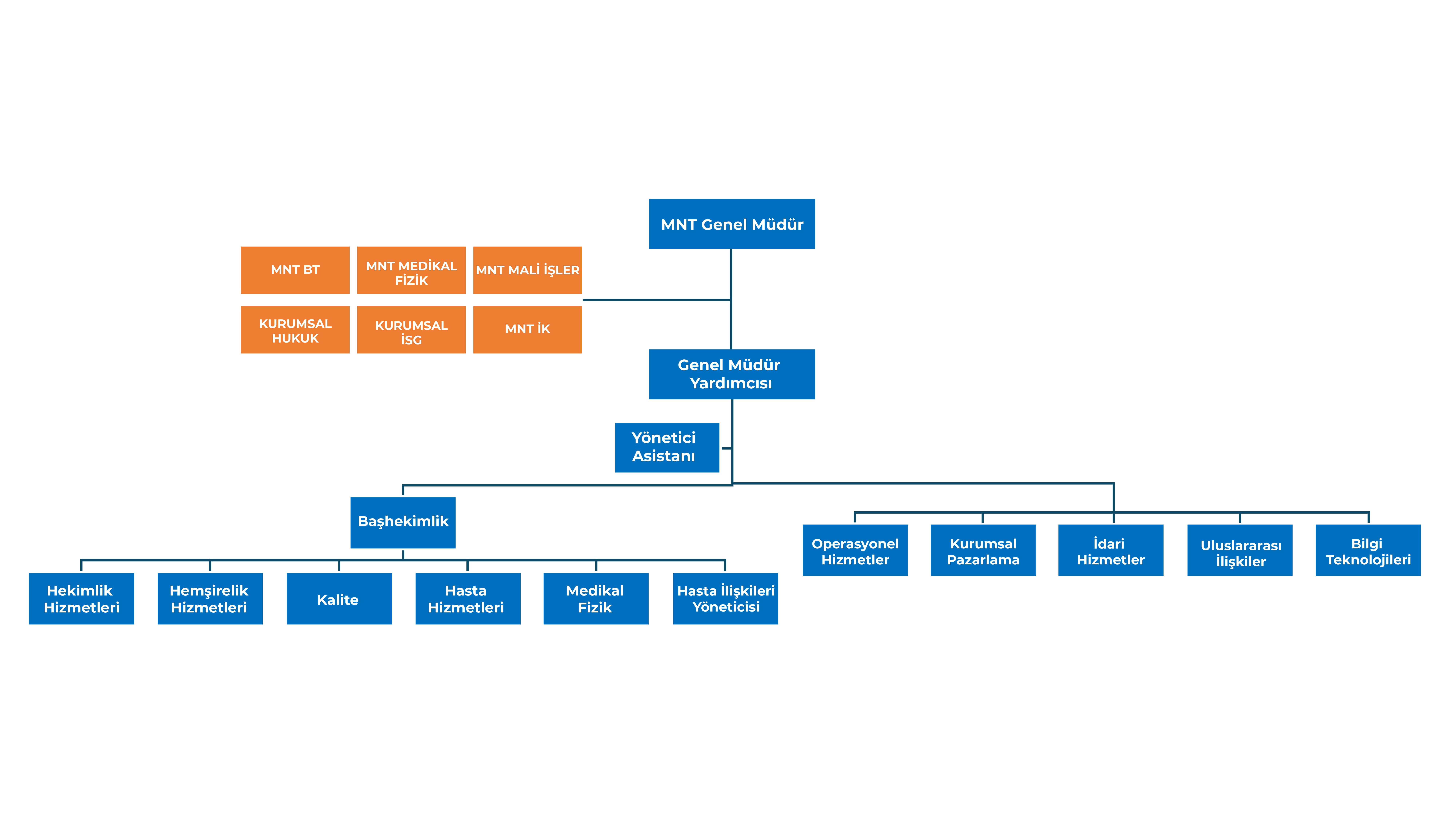 Neolife Organizasyon Şeması Neolife Organization Chart